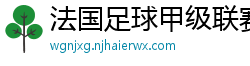 法国足球甲级联赛